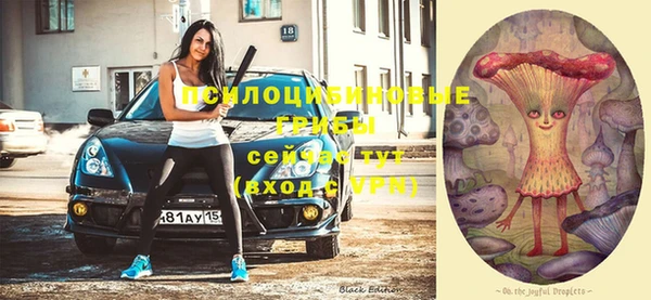 скорость Баксан