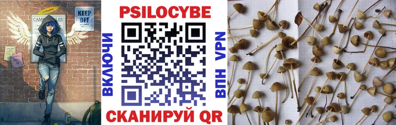 магазин продажи   площадка клад  Галлюциногенные грибы GOLDEN TEACHER  Туапсе 